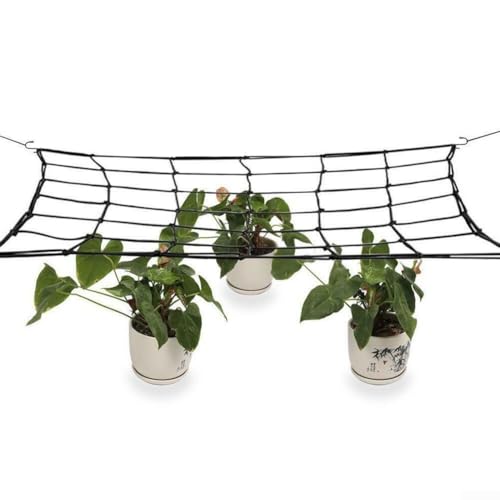 Ein funktionales und zuverlässiges Set aus elastischen Rankgittern mit zusätzlichem Haken, fördert das gesunde Wachstum von Obst und Blumen im Innenbereich (120 x 120 cm) von FACAIIO