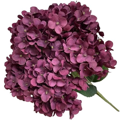 FACAIIO Künstlicher Blumenstrauß aus Seide, 5 Köpfe, für Hochzeitsdekoration und Heimdekoration, Weiß Hellblau, 50 cm lang FACAIIO Künstlicher Blumenstrauß aus Seide, 5 Köpfe, für Hochzeitsdekoration und Heimdekoration, Weiß Hellblau, 50 cm lang von FACAIIO