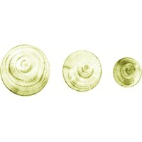Facett - Aspot - Flicke 10 mm Fichte KRT.=100 st von FACETT