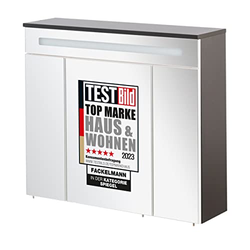 FACKELMANN Kara Spiegelschrank, 80 x 70 x 23 cm, Korpus in Anthrazit mit Glasfront, inkl. Soft-Close-System, Alu-Griffe – Modernes Design für Ihr Badezimmer von FACKELMANN