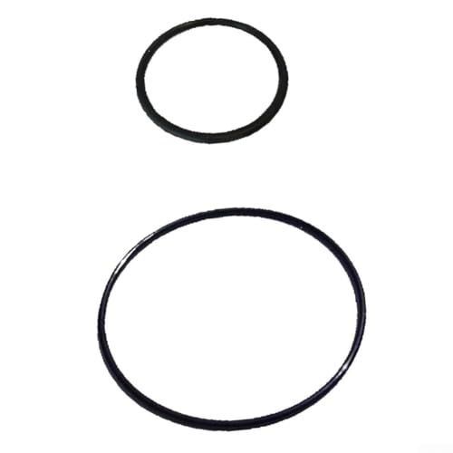 FACULX Transparentes Vorfilter-O-Ring-Set für SPS25 SPS75 SPS100 Poolpumpen, Gummidichtungssatz für Pool (2 Stück) von FACULX