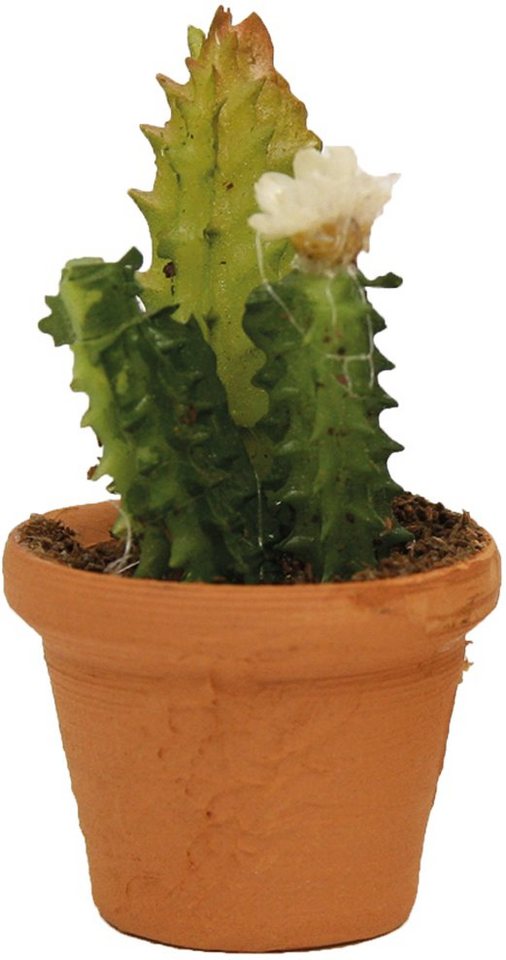 FADEDA Krippen-Zubehör FADEDA Blumentopf, Kaktus, Höhe in cm: 3,5 (1 St) von FADEDA