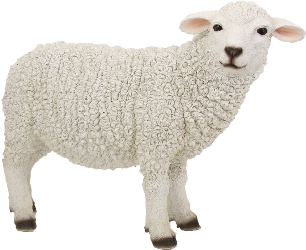 FADEDA Tierfigur FADEDA Schaf stehend, rechts schauend, Höhe in cm: 30 (1 St) von FADEDA