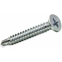 Schachtel mit 10 Einheiten selbstbohrender Flachkopf-Blechschraube aus Zink 4,8 x 25 mm Fadix von FADIX