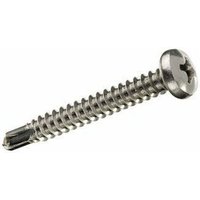 Schachtel mit 10 Stück selbstbohrenden Rundkopf-Blechschrauben 4,8 x 25 mm Fadix von FADIX
