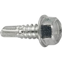 Fadix - Schachtel mit 8 Einheiten selbstbohrender Blechschraube mit Sechskantkopf 4,8 x 16 mm von FADIX