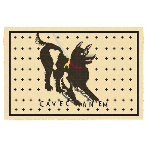 Lustige Fußmatte für Eingangsbereich, Outdoor, mit robuster Veranda, Terrasse, Willkommen, natürliche Kokosfaser, Geschenkidee, 60,2 x 40,9 cm (Höhle Canem Beware of the Dog) von FAGGMY