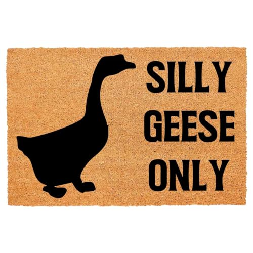 Lustige Fußmatte für Eingangsbereich, Outdoor, mit robuster Veranda, Terrasse, Willkommens-Matte, natürliche Kokosfaser, Geschenkidee, 60,2 x 40,9 cm (Alberne Gänse nur Gans) von FAGGMY
