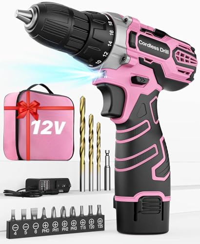 Akkuschrauber 12V in Pink Rosa, Akkubohrer Klein, Akku Bohrschrauber Set für Frauen mit 15 Zubehör und Tasche, 18+1 Drehmomentstufen, 10mm Bohrfutter, 2-Gang, LED-Licht, Werkzeug Pink für DIY von FAHEFANA