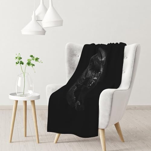 Animal Panther bedruckte ultraweiche Mikrofaser, warme und flauschige Decke, warm und bequem von FAIRAH