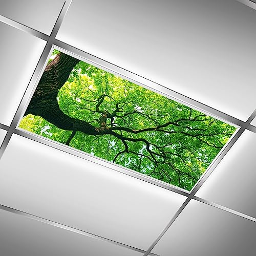 FALE QTUOM Fluoreszierende Lichtabdeckung für Klassenzimmer – 2 Stück, grüner Baum, magnetische fluoreszierende Lichtabdeckungen, Deckenlampenabdeckungen für Büro, Klassenzimmer, Zuhause, Tropfendecke FALE QTUOM Fluoreszierende Lichtabdeckung für Klassenzimmer – 2 Stück, grüner Baum, magnetische fluoreszierende Lichtabdeckungen, Deckenlampenabdeckungen für Büro, Klassenzimmer, Zuhause, Tropfendecke von FALE QTUOM