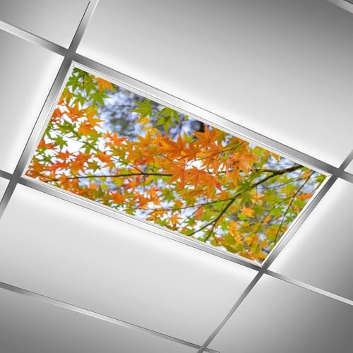 FALE QTUOM Fluoreszierende Lichtabdeckung für Klassenzimmer – 2 Stück Ahornblatt, magnetische fluoreszierende Lichtabdeckungen, Deckenlampenabdeckungen für Büro, Klassenzimmer, Zuhause, Tropfendecke FALE QTUOM Fluoreszierende Lichtabdeckung für Klassenzimmer – 2 Stück Ahornblatt, magnetische fluoreszierende Lichtabdeckungen, Deckenlampenabdeckungen für Büro, Klassenzimmer, Zuhause, Tropfendecke von FALE QTUOM
