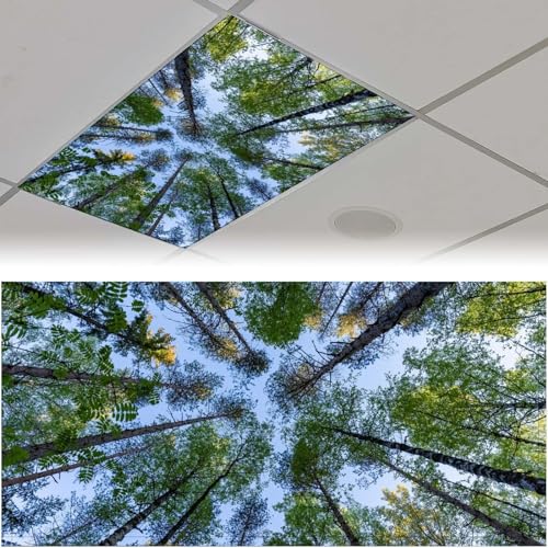 Fluoreszierende Lichtabdeckung für Klassenzimmer – 2 Stück, viele Bäume, magnetische fluoreszierende Lichtabdeckungen, Deckenlampenabdeckungen für Büro, Klassenzimmer, Zuhause, Tropfendecke, 1,2 x 60 Fluoreszierende Lichtabdeckung für Klassenzimmer – 2 Stück, viele Bäume, magnetische fluoreszierende Lichtabdeckungen, Deckenlampenabdeckungen für Büro, Klassenzimmer, Zuhause, Tropfendecke, 1,2 x 60 von FALE QTUOM