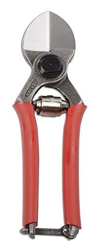 Falket 2000 Professionelle Bypass-Gartenschere, zweischneidig, warmgeschmiedet, 21 cm Falket 2000 Professionelle Bypass-Gartenschere, zweischneidig, warmgeschmiedet, 21 cm von FALKET