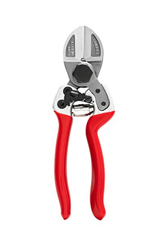 Falket 2012 Professionelle Gartenschere, zweischneidig, 21 cm von FALKET