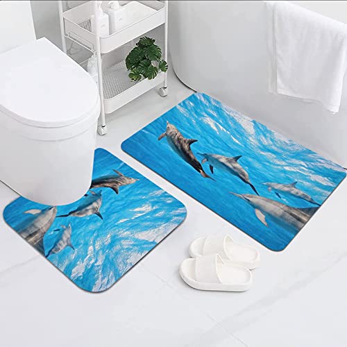 Badezimmerteppich Badematte Set 2 Teilig,Delphin-Unterwasserfotografie von Delphinen, die glücklich Ozean-Tierleben-Bild-Druck-blaues Grau schwimmen,Schmutzfangmatte für Badezimmer Küchenteppich von FALOME