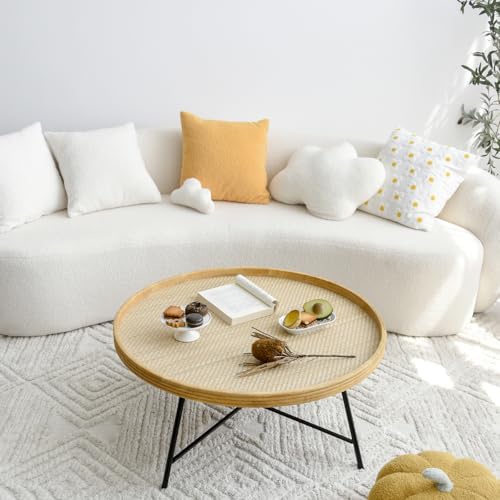 FAME HOME Rattan Round Wooden Coffee Table, Living Room Table, Sofa Table, Rattan Side Table, Light Brown with Metal Frame, Coffee Table, Oak, Natural Design, Round Table (80 x 80 cm, 37 cm High) von FAME HOME