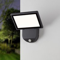 Famlights - led Wandleuchte Leif in Anthrazit 19W 850lm IP65 mit Bewegungsmelder [Gebraucht - Wie Neu] - black von FAMLIGHTS