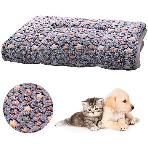 FANDE Hundematte, Haustier Hund Decke, Welpen Mat Pad, Schlafbett für Kleine Hunde, Haustiere, Welpen, Kätzchen Schlafen Bett Matte Herbst Winter Bett Kissen (M, 55 * 42 cm) von FANDE