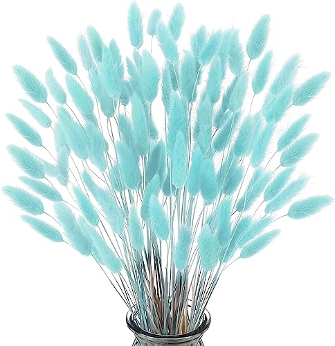 FANNAS Tiffany-Blau Pampasgras Trockenblumen Deko, 60 Stück Hasenschwänze Pampasgras Getrocknet Trockenblumen,Natürliche Pampas Gras Trockenblumen für Blumen Arrangements Heim Decor von FANNAS