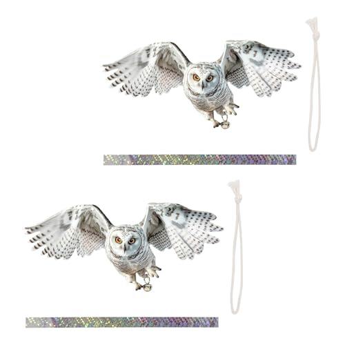 FANSHINUO 2 Stück Anti-Vogel-Hängedekorationen mit doppelseitiger Eule und Seilen für Hof-Installation, reflektierendes Klebeband, Taubenabwehr, Ornamente von FANSHINUO