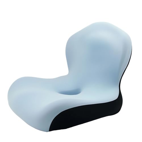 FANSHINUO Ergonomisches Memory-Foam-Kissen mit Lendenwirbelrücken, atmungsaktives Eisseidengewebe für Fahrkomfort von FANSHINUO