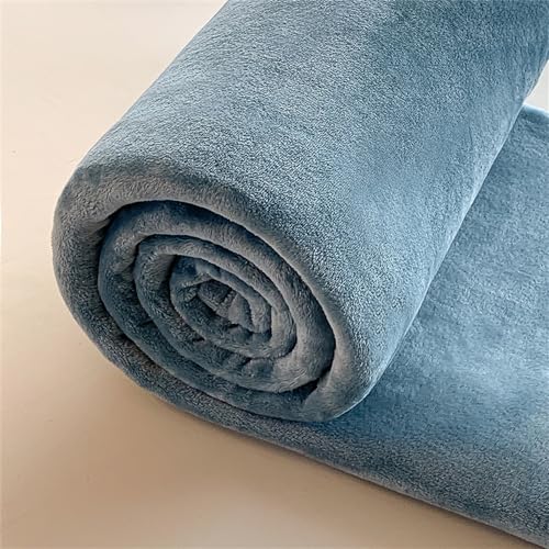 FANSU Flanell Decke Kuscheldecke Fleecedecke, Einfarbig Verdicken Weiche Warm im Winter Flauschig Wohndecke Microfaser Decke als Wohnzimmerdecke, Sofaüberwurf, Bettüberwurf (150x200cm,Grau Blau) von FANSU