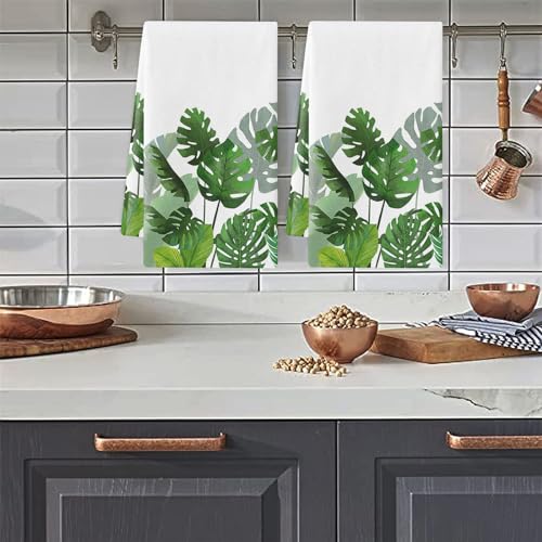 FANSU Geschirrtücher Küchenhandtuch 2 Stück, Blatt Muster Geschirrtuch Saugfähig Küchentücher Fusselfrei Trockentücher Weiche Küchenhandtücher Geschirrhandtücher (60x40cm,Tropische Pflanzen) von FANSU