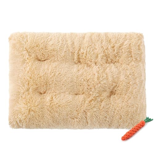 FANSU Hundebett Waschbar Katzenbett Flauschig Hundebetten, Weiche Beruhigende Haustierbett Abnehmbar und Waschbar für Kleine Mittlere oder große Hunde (M-65X50CM,Beige) von FANSU