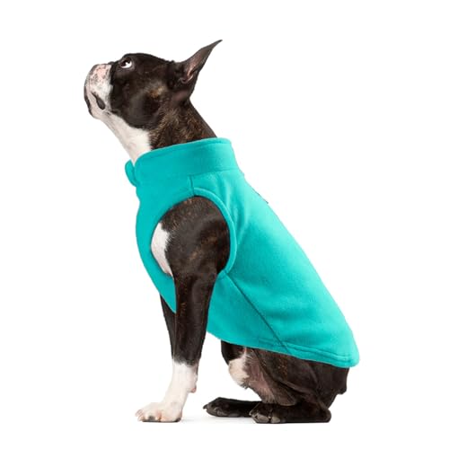 FANSU Hundemantel Winter Reine Farbe, Warme Hundejacke Wasserdic Herbst Haustier Jacken Mit Reflektierend für Kleine Hunde Mittlere Hunde Große Hunde (M,Türkis) von FANSU