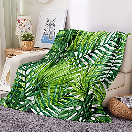 FANSU Kuscheldecke Flauschig Flanell Decke, 3D Microfaser Weich Warm Plüsch Fleecedecke Sofadecke Couchdecke Wohndecke Bettdecke Tagesdecke (Palmblatt,80x120cm) von FANSU