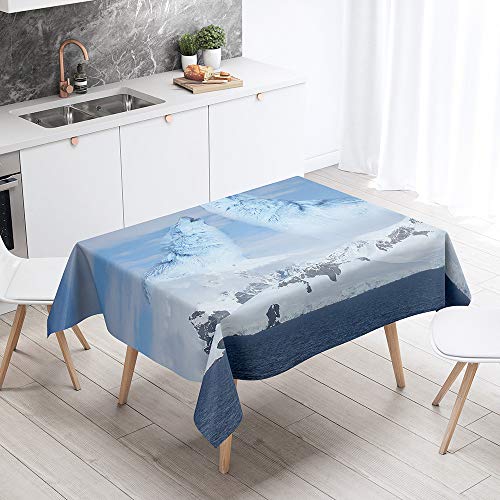 FANSU Rechteck Tischdecke Polyester,Wasserdicht Tischwäsche 3D Wolf Stil Pflegeleicht Abwaschbar Tischtuch-Viele Größe Farbe Wählbar (140x200cm,Schnee) von FANSU