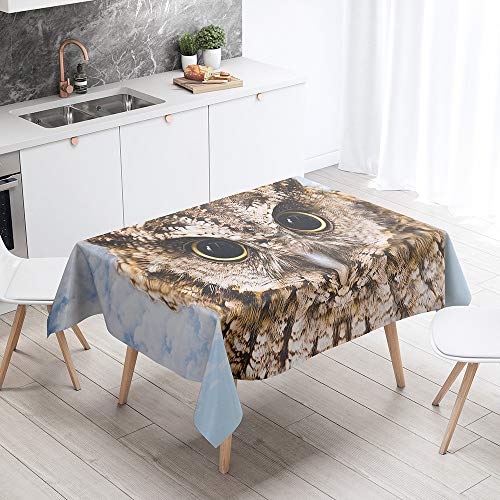 FANSU Rechteck Tischdecke Polyester 3D Tierdruck Stil,Wasserdicht Tischwäsche Pflegeleicht Abwaschbar Tischtuch-Viele Größe Farbe Wählbar (Eule,90x90cm) von FANSU