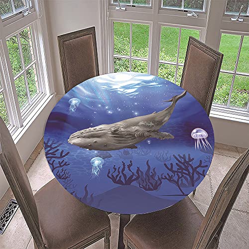 FANSU Runde Tischdecke Garten Abwaschbar, 3D Seestern Motiv Serie Polyester Fleckschutz Tischdecken Größe wählbar für Haushalt Gartentisch (Qualle,Durchmesser 150cm) von FANSU