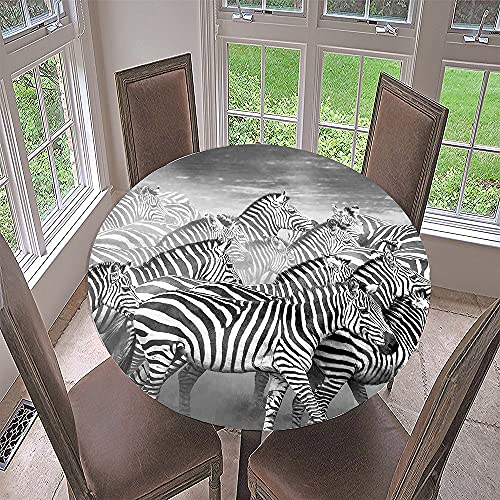 FANSU Runde Tischdecke Garten Abwaschbar, 3D Zebra Motiv Serie Polyester Fleckschutz Tischdecken für Gartentisch, Outdoor in Kiche, Haushalt & Wohnen (Zebraherde,Durchmesser 120cm) von FANSU