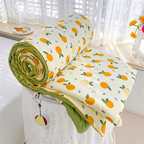 FANSU Tagesdecke Bettüberwurf Steppdecke Mikrofaser Doppelbett Einselbetten Gesteppt Bettwäsche Sofaüberwurf Wohndecke Bettdecke Stepp Gesteppter Quilt (150x200cm,Beige-Orange) von FANSU