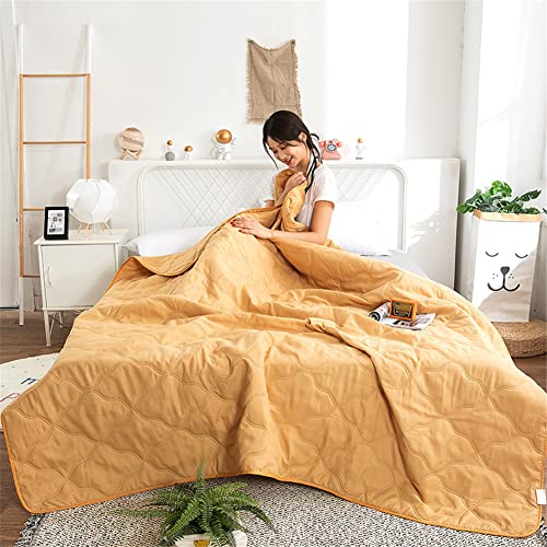 FANSU Tagesdecke Bettüberwurf Steppdecke Mikrofaser Doppelbett Einselbetten Gesteppt Bettwäsche Sofaüberwurf Wohndecke Bettdecke Stepp Gesteppter Quilt (150x200cm,Khaki) von FANSU
