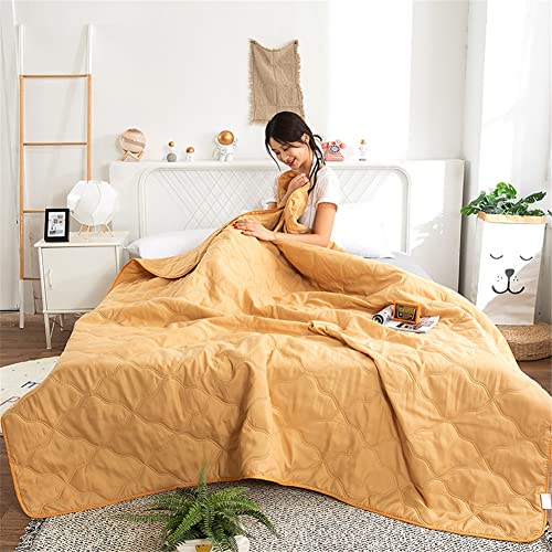 FANSU Tagesdecke Bettüberwurf Steppdecke Mikrofaser Doppelbett Einselbetten Gesteppt Bettwäsche Sofaüberwurf Wohndecke Bettdecke Stepp Gesteppter Quilt (180x200cm,Khaki) von FANSU