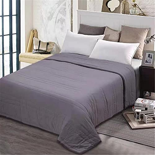 FANSU Tagesdecke Bettüberwurf Steppdecke Mikrofaser Doppelbett Einselbetten Gesteppt Bettwäsche Sofaüberwurf Wohndecke Bettdecke Stepp Gesteppter Quilt (Reines Grau,170x200cm) von FANSU