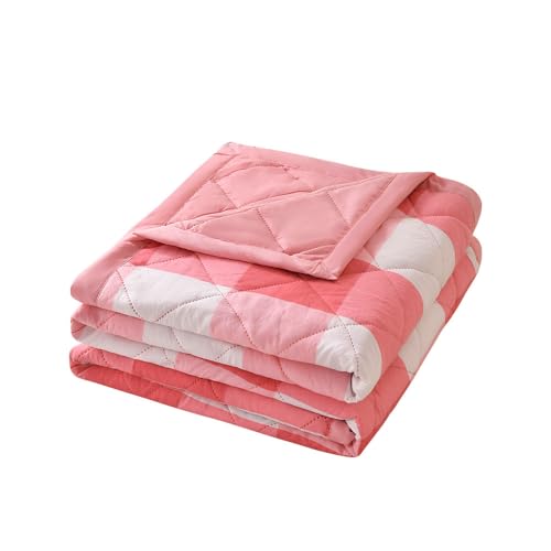FANSU Tagesdecke Bettüberwurf Steppdecke Mikrofaser Doppelbett Einselbetten Tagesdecken Gesteppt Bettwäsche Sofaüberwurf Wohndecke Bettdecke Stepp Gesteppter Quilt (Rosa großes Plaid,200x230cm) von FANSU