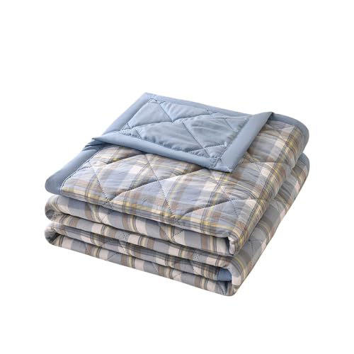 FANSU Tagesdecke Bettüberwurf Steppdecke Mikrofaser Doppelbett Einselbetten Tagesdecken Gesteppt Bettwäsche Sofaüberwurf Wohndecke Bettdecke Stepp Gesteppter Quilt (blau kariert,150x200cm) von FANSU