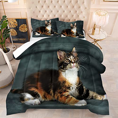 FANSU Tagesdecke Bettüberwurf Steppdecke Mikrofaser Doppelbett Einselbetten Tagesdecken Gesteppt Bettwäsche Wohndecke Stepp Gesteppter Quilt Kissenbezug 3 Teilig (135x200,Schildpatt-Katze) von FANSU