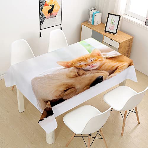 FANSU Tischdecke Wasserdicht Tischwäsche, Rechteckige 3D Hund Wasserabweisend Abwaschbar Tischtuch für Küche Garten Outdoor Esstisch Dekoration (Gelbe Katze,100x140cm) von FANSU