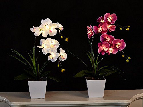 FANStek Künstliche Phalaenopsis-Orchidee, batteriebetrieben, 50 cm, batteriebetrieben, mit 9 Lichtern (lila) von FANStek