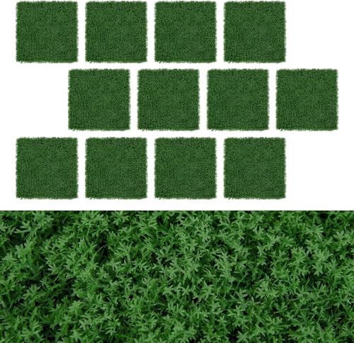 FANTASK 50,5 x 50,5 cm Pflanzenwand 12 Stk., künstliche Mooswand miteinander verbindbar, Sichtschutzhecke für Garten, Zuhause, Hof FANTASK 50,5 x 50,5 cm Pflanzenwand 12 Stk., künstliche Mooswand miteinander verbindbar, Sichtschutzhecke für Garten, Zuhause, Hof von FANTASK
