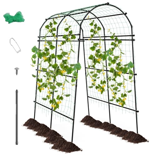 FANTASK Rankgitter für Kletterpflanzen, 230 cm Gartenbogen mit PE-beschichteter Metallstruktur, Rankhilfe Rankbogen Rosenbogen Torbogen für Gemüse, Obst, Blumen, Schwarz FANTASK Rankgitter für Kletterpflanzen, 230 cm Gartenbogen mit PE-beschichteter Metallstruktur, Rankhilfe Rankbogen Rosenbogen Torbogen für Gemüse, Obst, Blumen, Schwarz von FANTASK