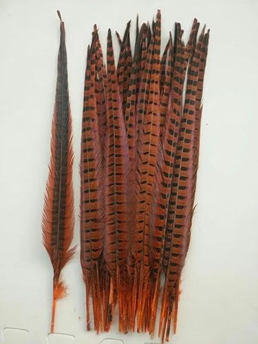FAQIMORAX 10 Stück 30–45 cm lila Fasanenfedern, DIY-Schmuckdekoration, Orange, 40–45 cm von FAQIMORAX