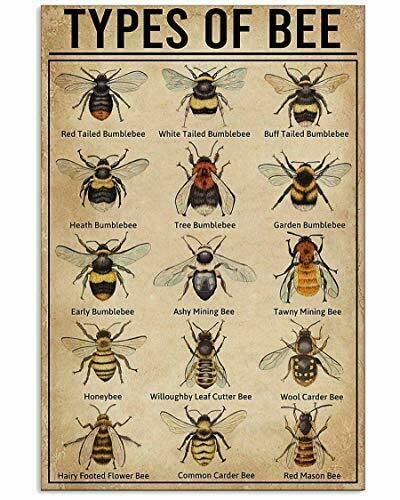 Types ofRetro Nostalgischer Kunstdruck Poster Blechschild Cafe Bar Metallschild Höhle Garage & Home Cafe Bar Club Wanddekoration Plakette Schilder 20,3 x 30,5 cm von FAQOIR
