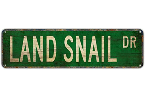 Vintage Decor Wandschilder Land Schnecke Land Schnecke Geschenk Land Schnecke Schild Land Schnecke Blech Metall Straßenschild Lane Avenue Street Way Grün 40,6 x 10,2 cm von FAQOIR