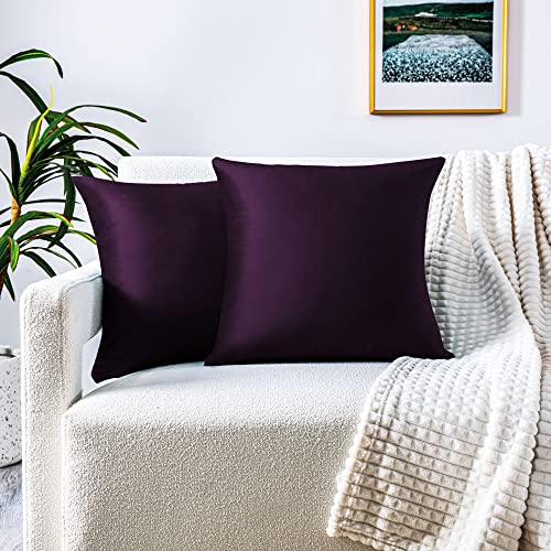 FARFALLAROSSA 2er-Set Kissenbezüge für Sofa45x45 cm, Kissenbezüge aus Samt mit verdecktem Reißverschluss verstärkt, ideal für dekorative Sofakissen - Lila von FARFALLAROSSA